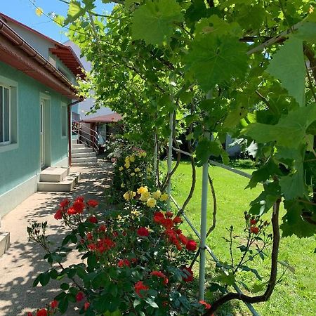Casa Pestelui Hotel Două Mai Eksteriør billede