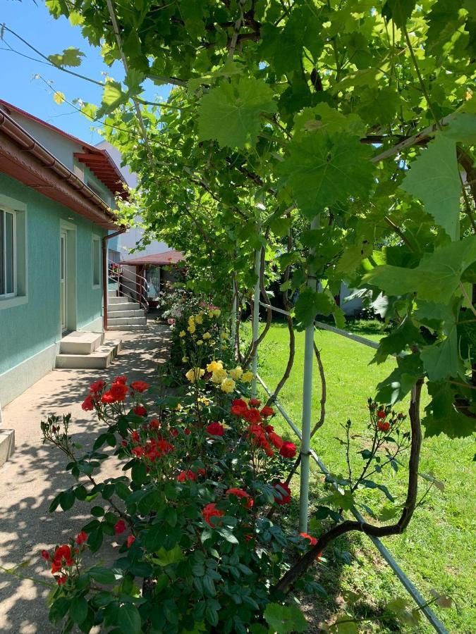 Casa Pestelui Hotel Două Mai Eksteriør billede